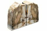 Tall, Colorful Petrified Wood Bookends - Washington #233245-2